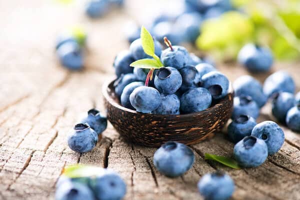 蓝莓——促进食品的Wellnest哼营养