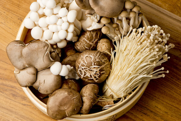 蘑菇-促进食品的Wellnest哼营养