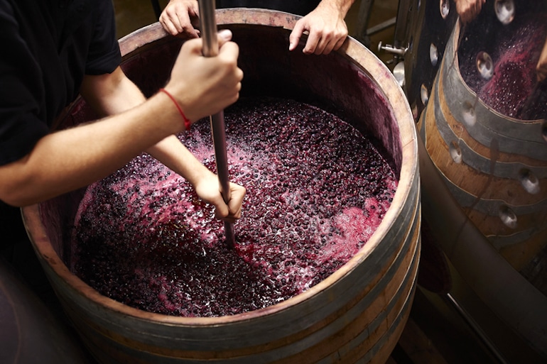 酿酒师将葡萄在桶中碾碎并发酵制成天然葡萄酒