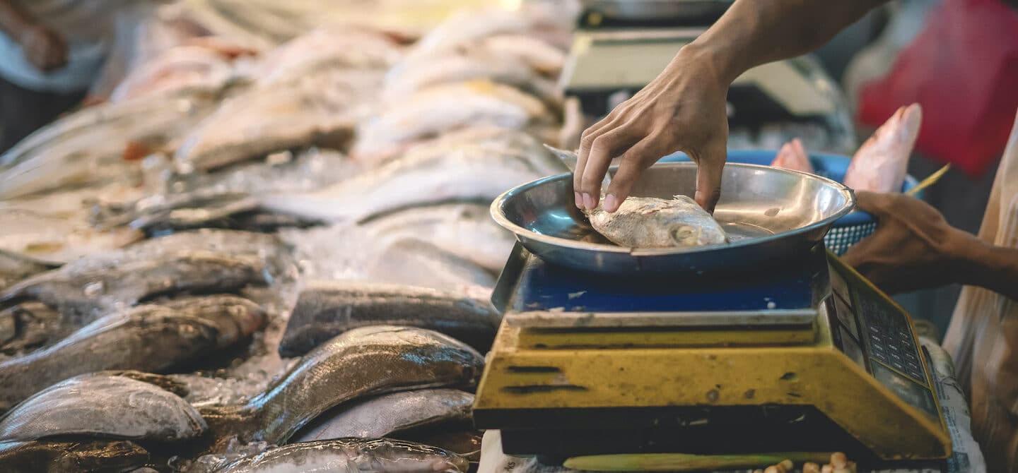 鱼贩在市场上重的鱼;海鲜可持续发展概念