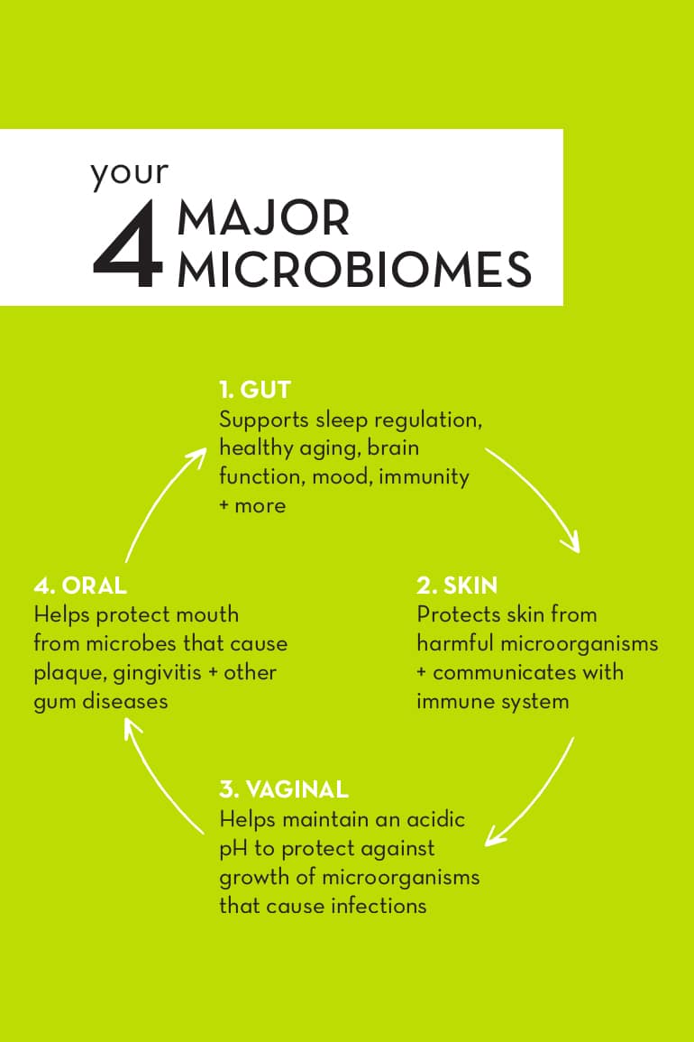 4主要微生物菌群信息图